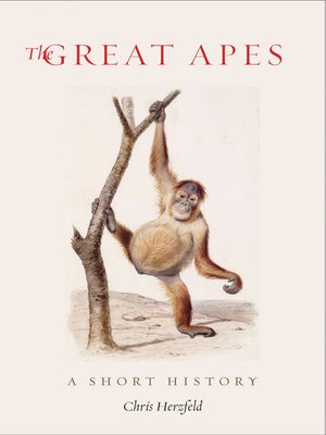 cover image of The Great Apes